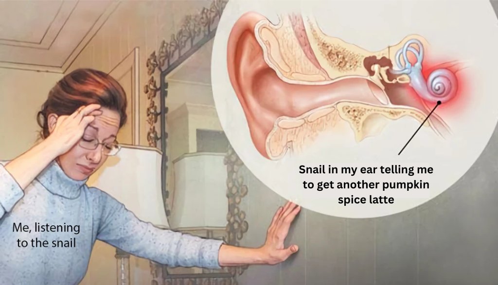 IBC Simply tweet media