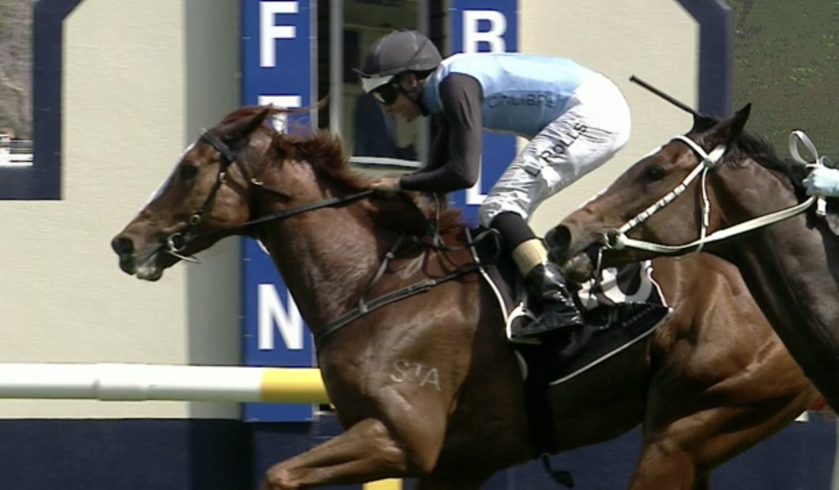 Gulf of Tomini to strong over the 2200m at Grafton today 💪🏽 <a href="/CalibreRacing1/">Calibre Racing Group</a>