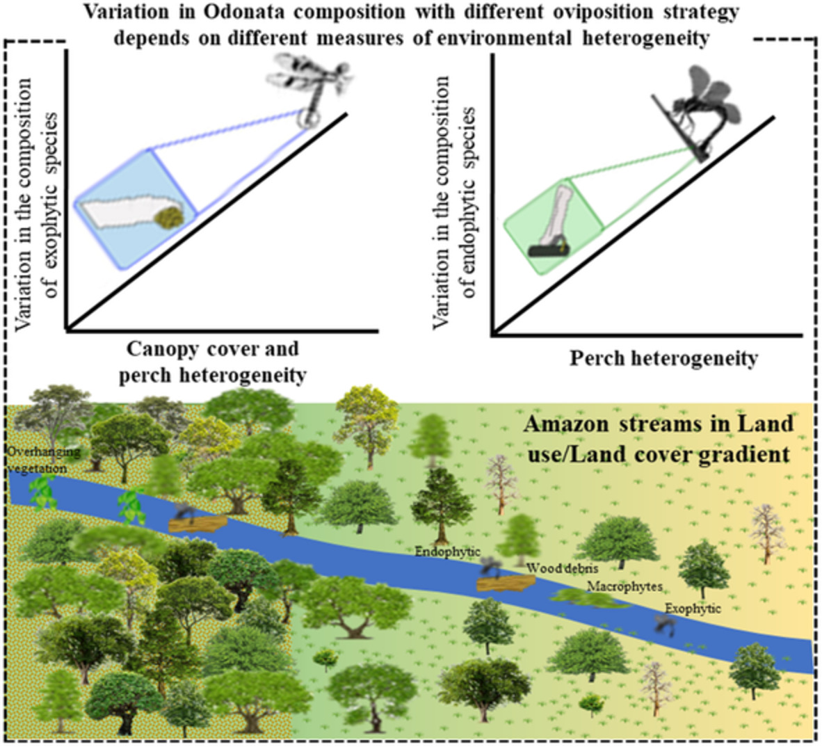 Ecol_Ent's tweet photo. #Correlates of #Odonata #species composition in #Amazonian #streams depend on #dissimilarity coefficient and #oviposition #strategy

https://t.co/SgCt7jhuwf

#community #variation #endophytic #epiphytic #exophytic #oviposition #strategy #habitat #integrity https://t.co/GO371U4j61