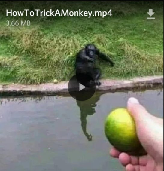 Watch VL ♠️'s leaked NSFW photo on TwXstars