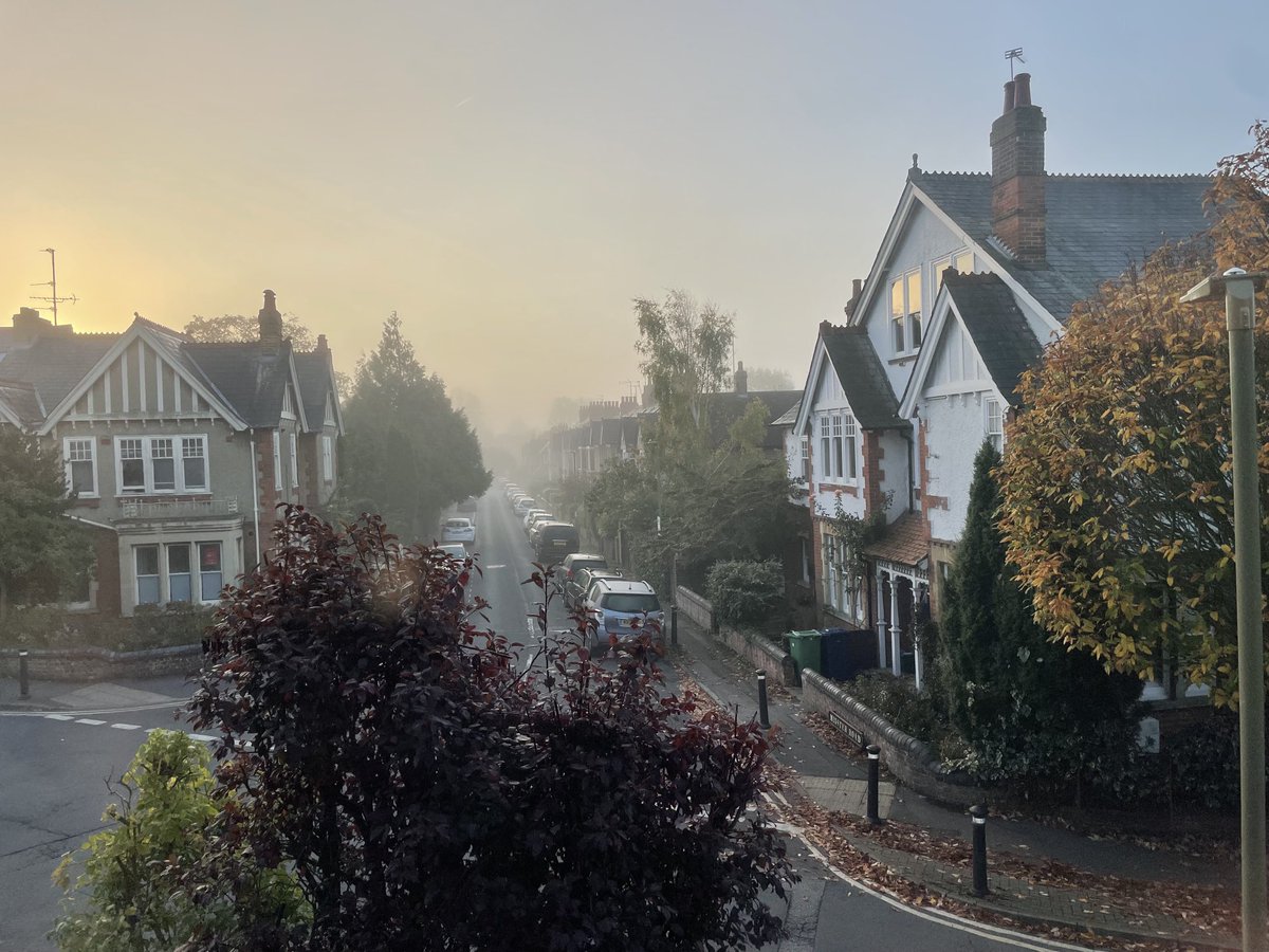 Misty morning in autumn 🍂