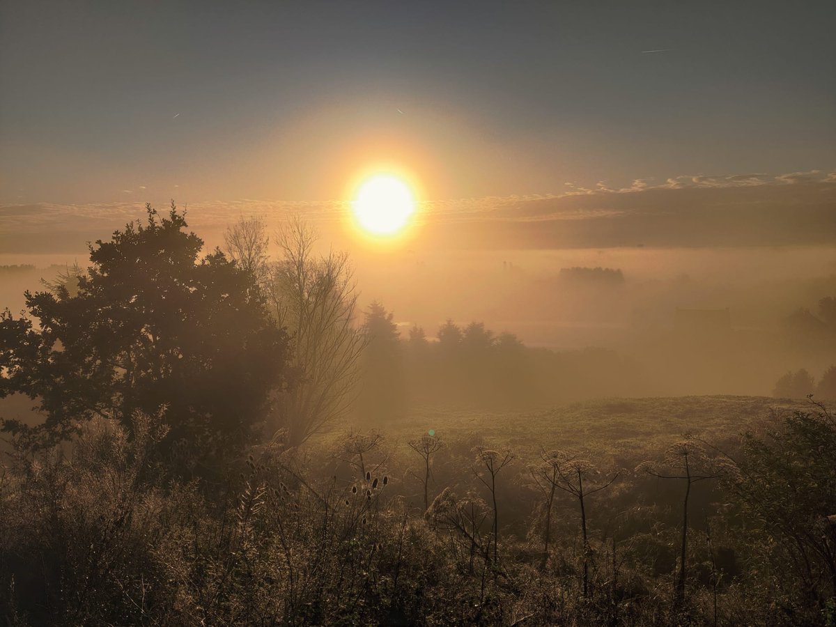 Prachtige plaatjes vanaf uitzicht punt Luhrs bij het Hoge Bergse Bos in de #Rottemeren