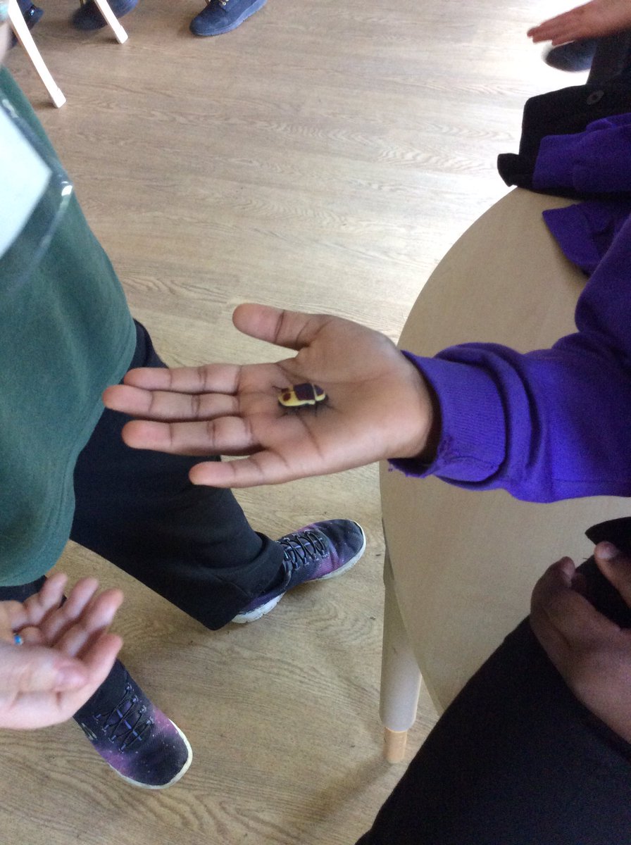 KingsleyLpool's tweet photo. Year 4 loved seeing all the animals today. What a wonderful world ๐ #kingsleyscienceweek #KingsleyBlackHistory #Kingsleyscience https://t.co/1VL3J4OrFk
