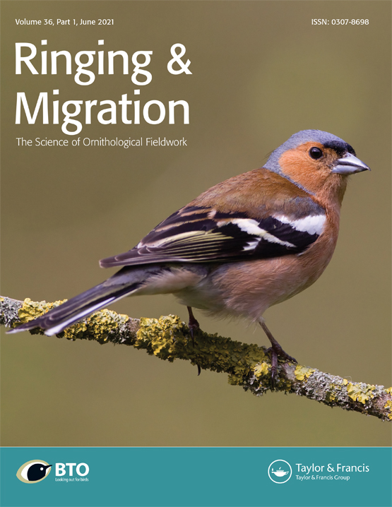 🐦'Marginal-covert moult in the House Sparrow Passer domesticus' 🗒️New article by @SANTIGUA J.Carillo-Ortiz & J.Quesada at Vertebrates Dep. @MCNBzoologia @museuciencies 👉tandfonline.com/doi/abs/10.108… 🏛️Published at Ringing & Migration @_BTO @tandfonline