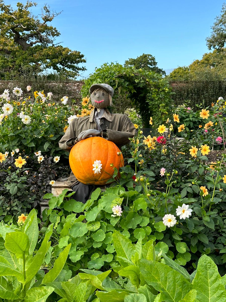 Hello to all my new followers & everyone. Happy Tuesday🍃🌷🌾🌿🎃🕸🌤🚴 #PumpkinSeason @lisa_trader11 @John_Scott_G @h47098653 @Ezhampers12 @valesoftware @SteffiMeyer13 @JeremyL38692214 @Nikuboruah1 @ErikaTh04860424 @paoloigna1 @Liney1103 @MoodiNight @MohammadiRashid @smileyrach2