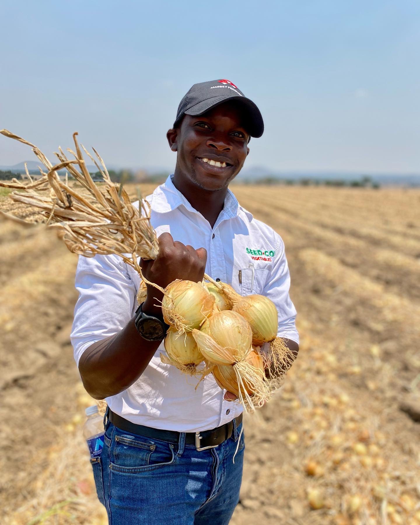 Francis B. Mapindani on Twitter "The drive for onion 🧅 self