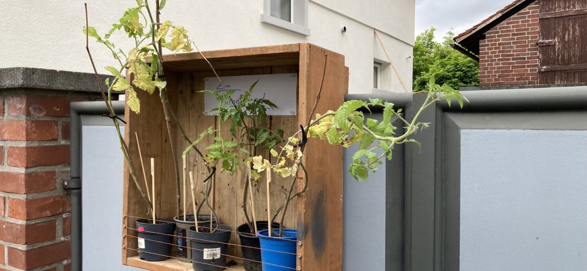 Altbau neu gedacht tweet media