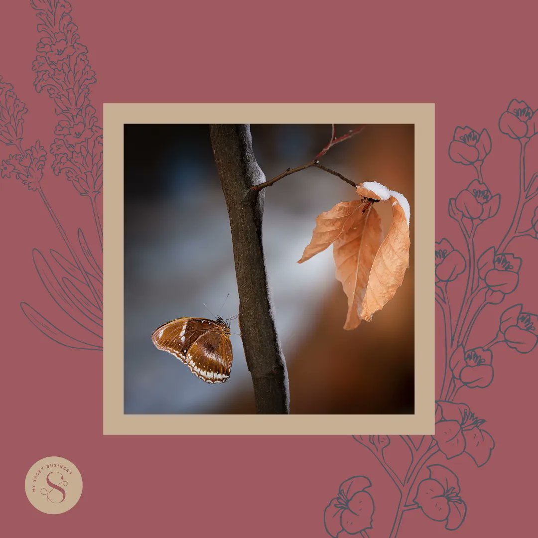 Does your business gain and give referrals? If you seek to give, it often comes back to you in multiple ways. 

#mysassybusiness
#marketing #onlinemarketing #seo #socialmediamarketing #socialmedia   #marketingtips #contentmarketing #inboundmarketing #socialmediamanagement