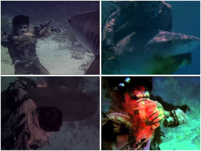 サンゲリアのtwitterイラスト検索結果