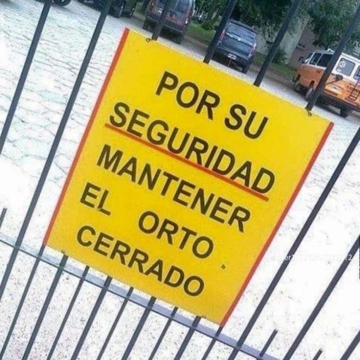 martes