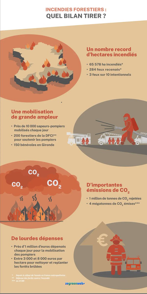 #FeuxdeForêt : Le bilan d'un été particulièrement lourd pour les 🌲🌳 par @zegreenweb. Depuis le début de l'année ➕de 6⃣5⃣0⃣0⃣0⃣ hectares de #forêts ont brulé contre 1⃣5⃣0⃣0⃣0⃣ en 2021 (source @Ecologie_Gouv). De l'intérêt de gérer les forêts pour limiter le risque #incendie 🔥