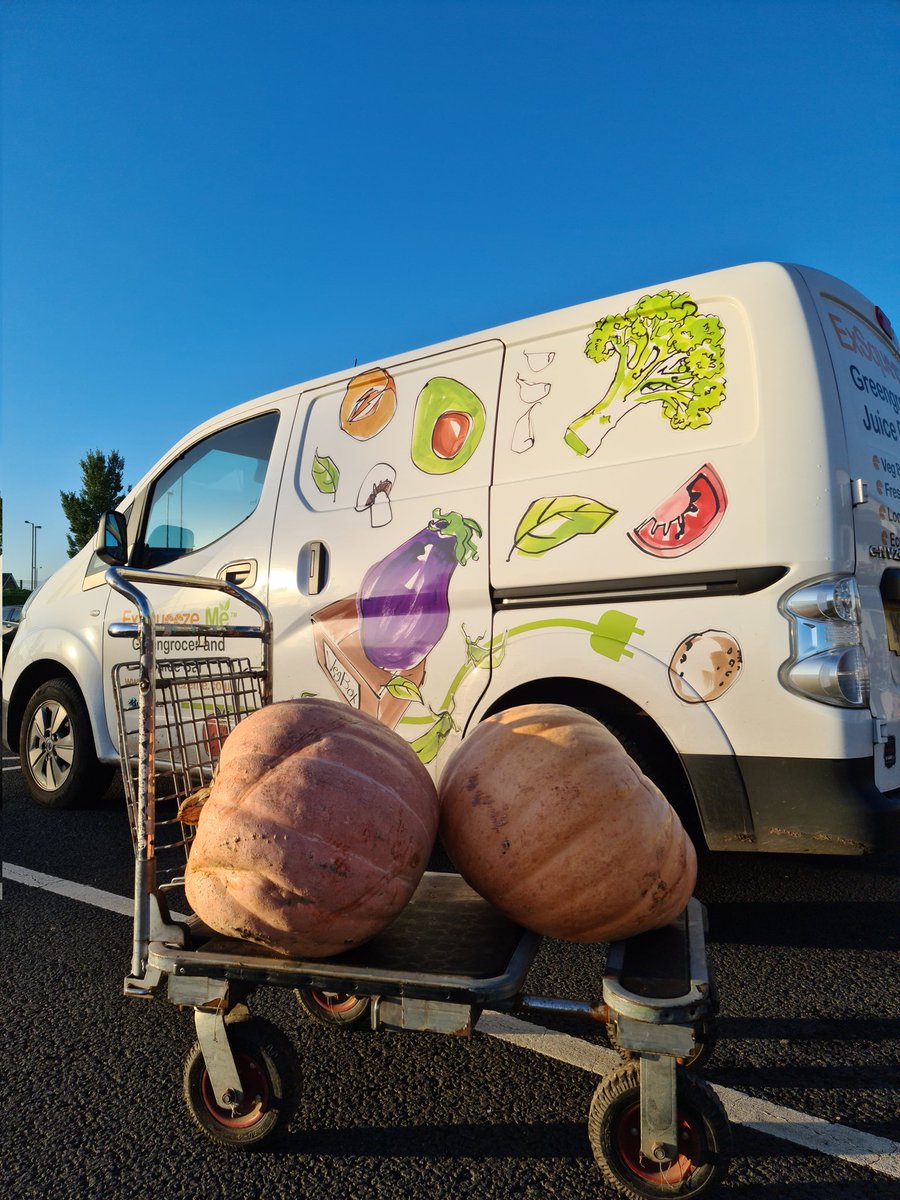 ExSqueezeMe tweet media