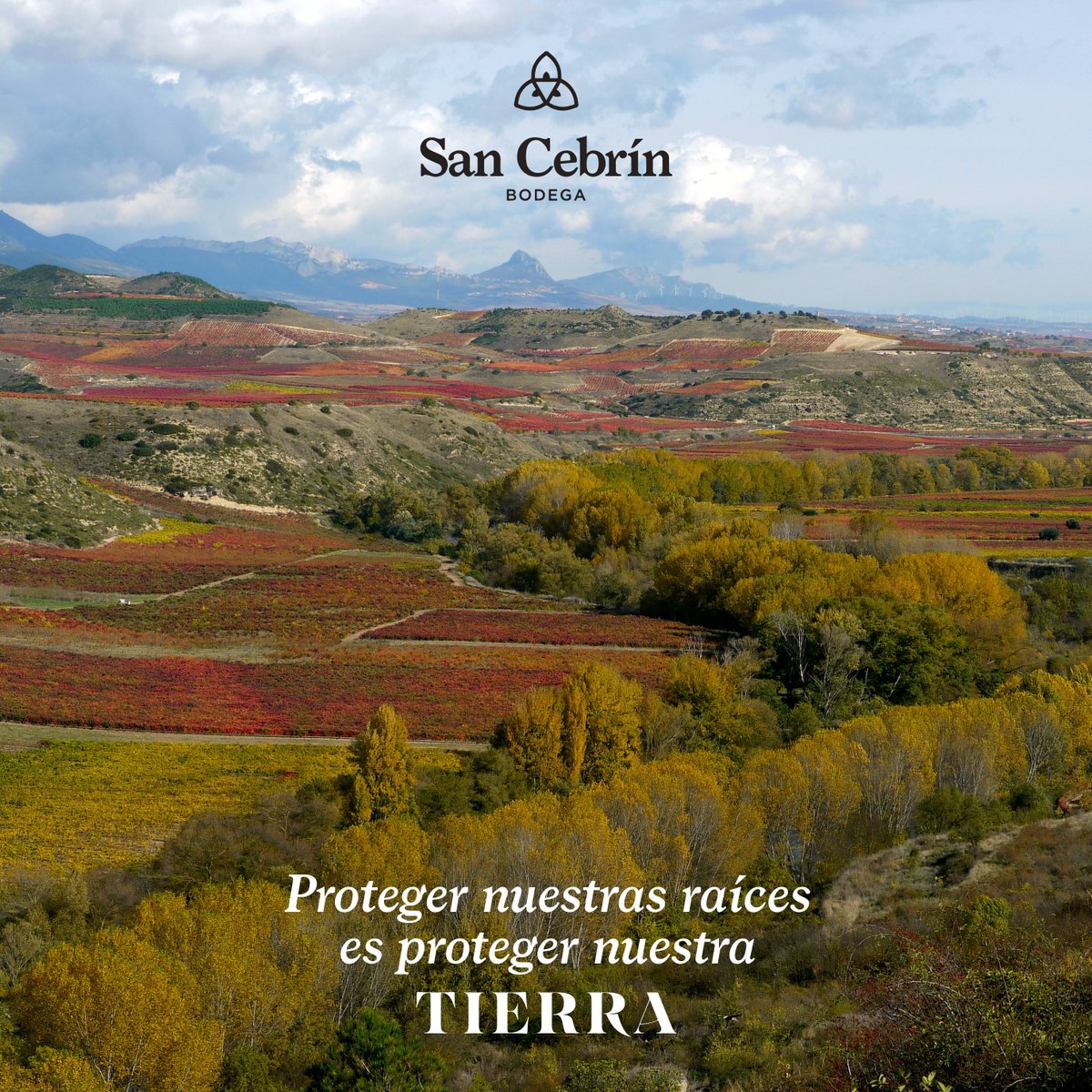 Hoy se celebra el Día Internacional de Protección de la Naturaleza y desde #BodegaSanCebrín queremos recordar lo esencial que es respetar el entorno y apostar por la sostenibilidad. No hay PlanB 🌍 Todos sumamos. Respetemos nuestra tierra y protejamos la naturaleza que nos rodea.