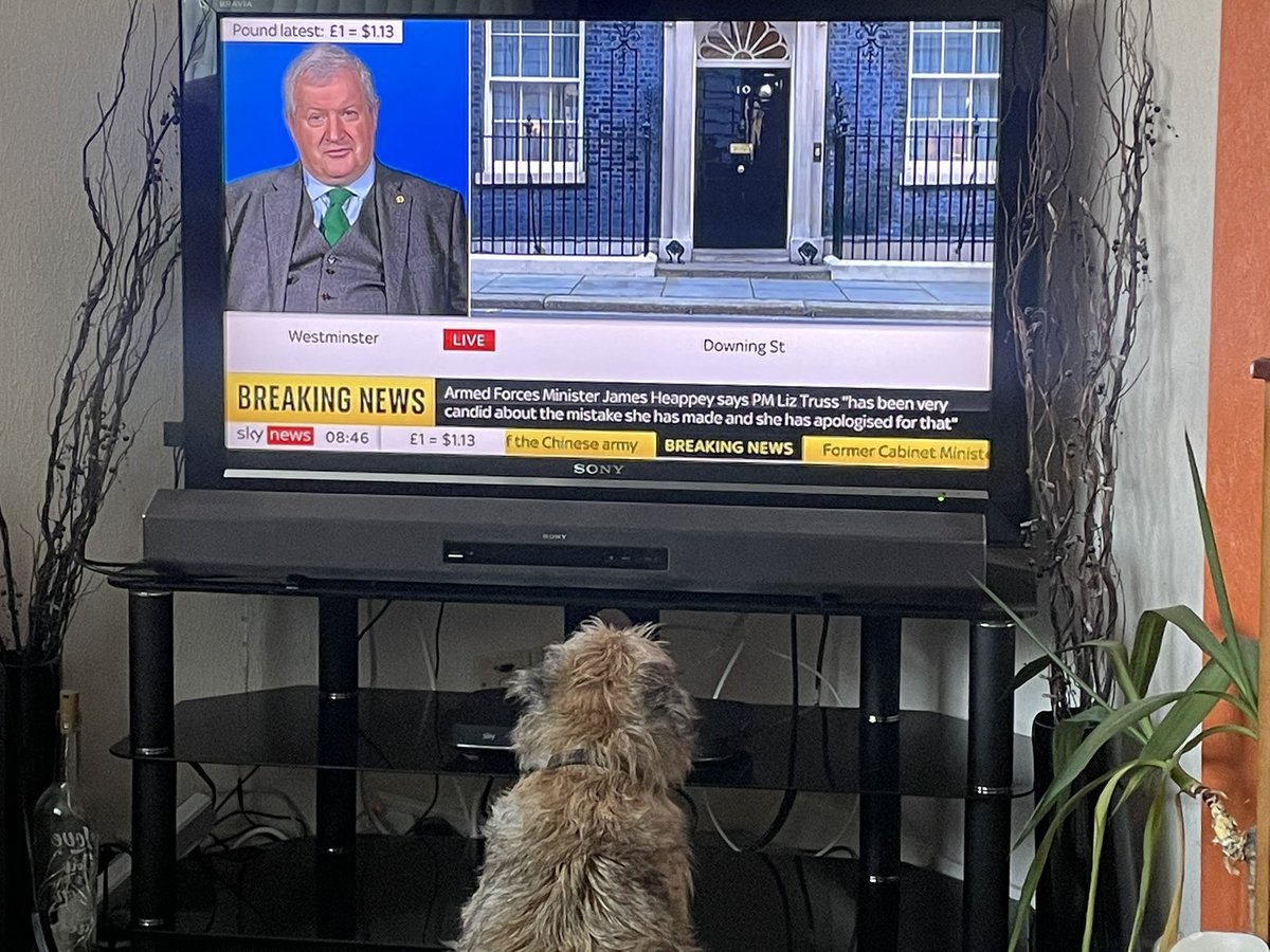 Even my dog is worrying about the state of the U.K. economic situation we are in