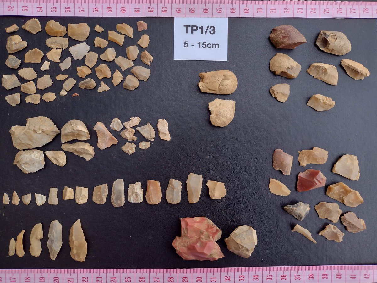 Mesolithic Deeside tweet media