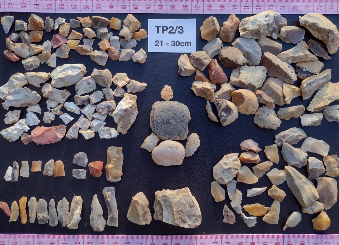 Mesolithic Deeside tweet media