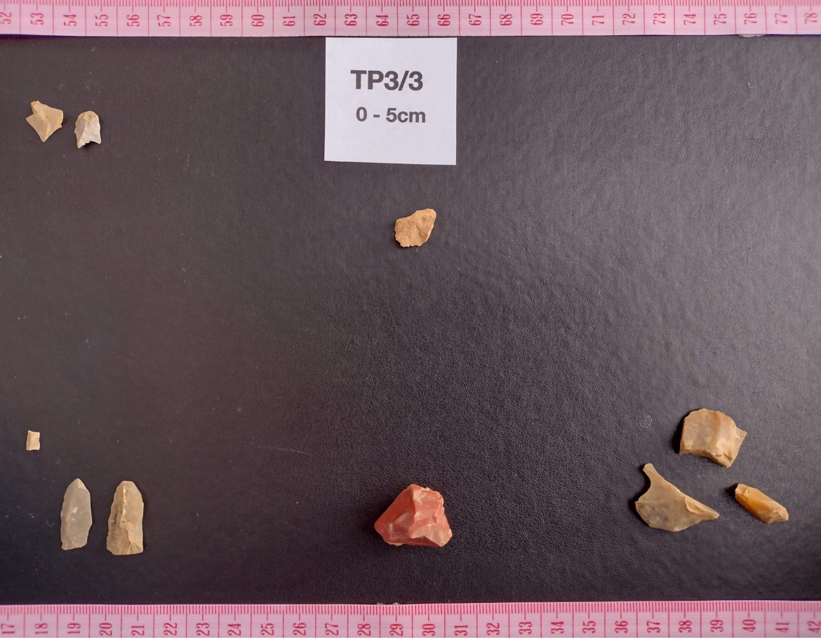 Mesolithic Deeside tweet media