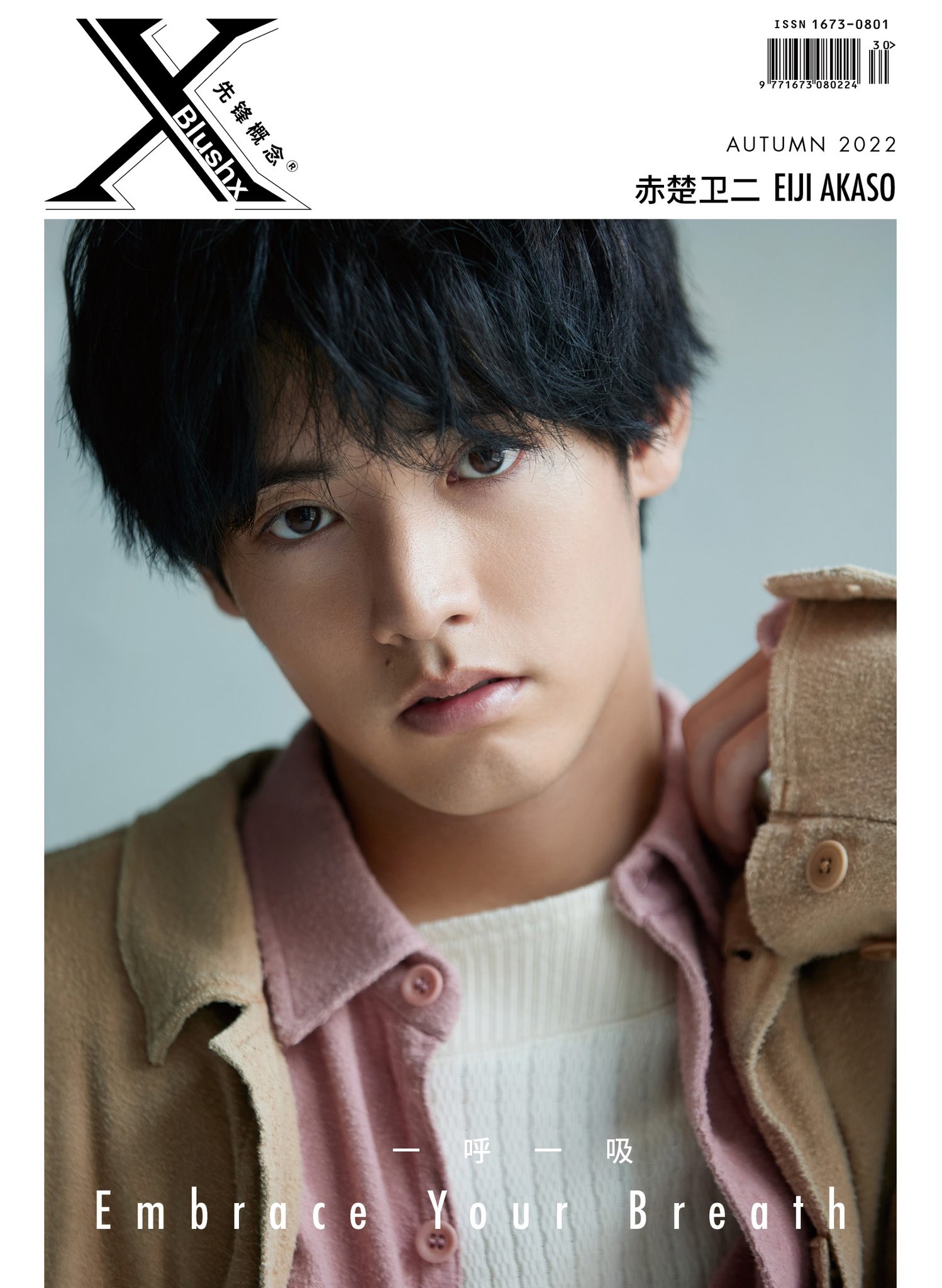 希少）非売品默阿彌全集第二十巻