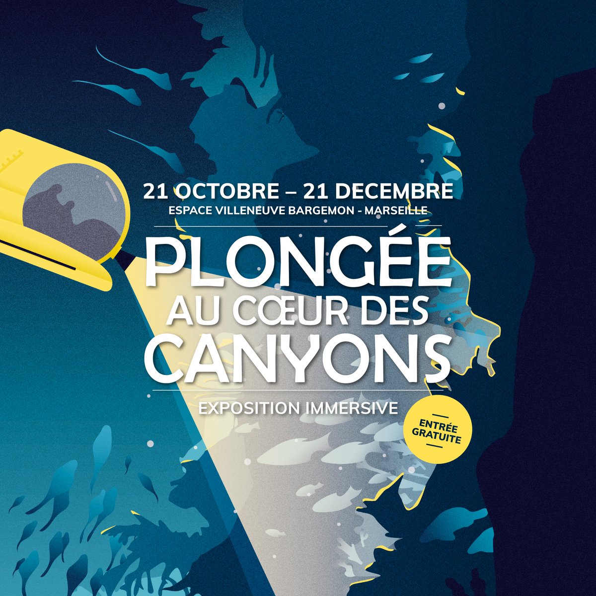 J-1 !🤿Plongez au cœur des canyons de Méditerranée grâce à l'exposition immersive proposée par le @ParcCalanques. À partir du 21 octobre, venez découvrir les paysages profonds et les trésors de la biodiversité à l'Espace Villeneuve Bargemon (2e)👉bit.ly/3fZcvwh