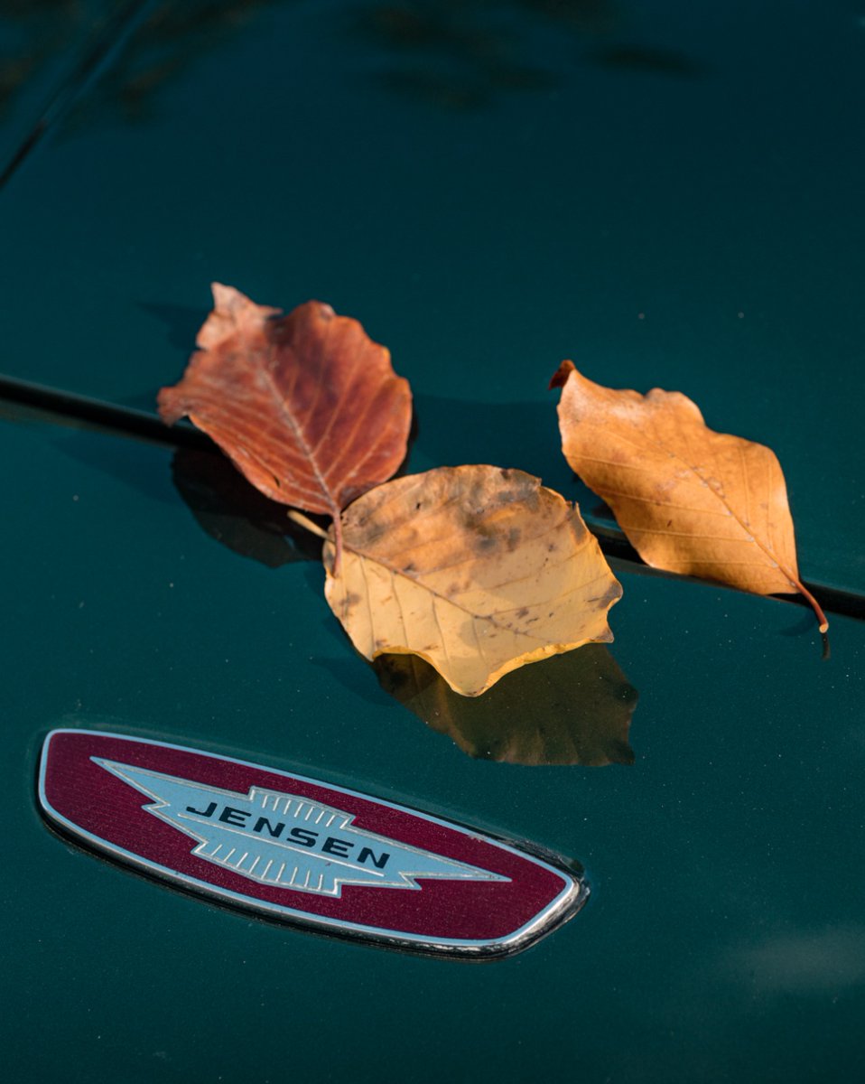 CropredyBridge's tweet photo. Autumn has many colours from evergreens through to bright reds and yellows and those crisp, clear blue skies above. Can't think where we've seen that colour range before. What's your favourite colour on a Jensen?

#jensenspecialist #paintstudio #classiccarcolours #autumn https://t.co/rukFGqhaRY