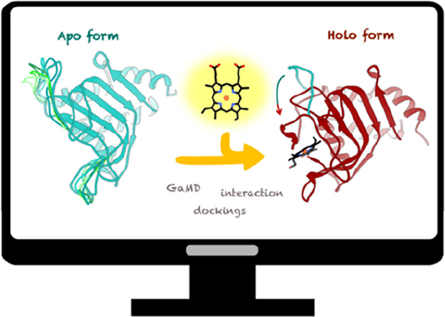 A computational study from Tiessler, Maréchal, and coworkers sheds light on heme recruitment by hemophores and unveils the origin of their mechanistic diversity. Please have a look to learn more: pubs.acs.org/doi/10.1021/ac…