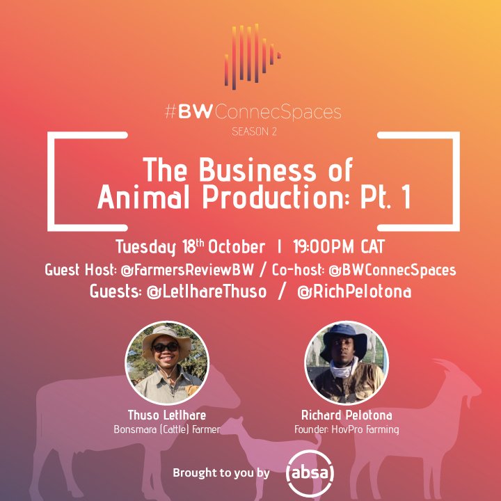 #BWConnecSpaces S2 E12 brought to you by Absa Bank Botswana: “The Business of Animal Production: PT 1” which will be focused on cattle, goats and sheep. 

Our Guest Host is <a href="/FarmersReviewBW/">Farmers Review</a> and joining us on the panel is <a href="/LetlhareThuso/">Thuso Letlhare</a>
&amp; <a href="/RichPelotona/">🌹🐃🤠🐑TheGhostOfTheMakgadikgadi🌍🍻🔥🔌</a>

7pm #Africanacity