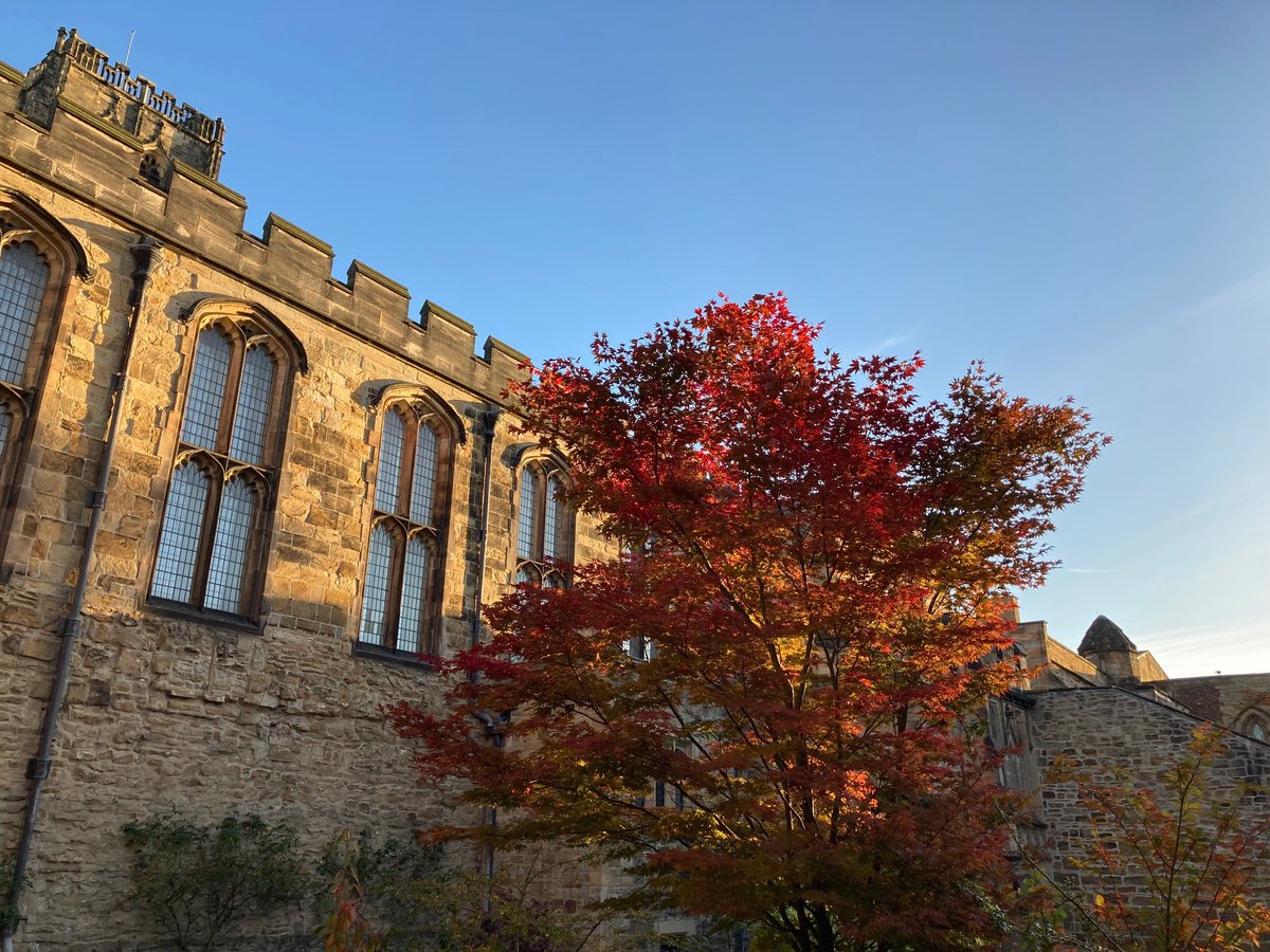 Good Morning All! Top tip: If you can, start your day with a nice maple tree, the sun on a library, and a very blue sky.