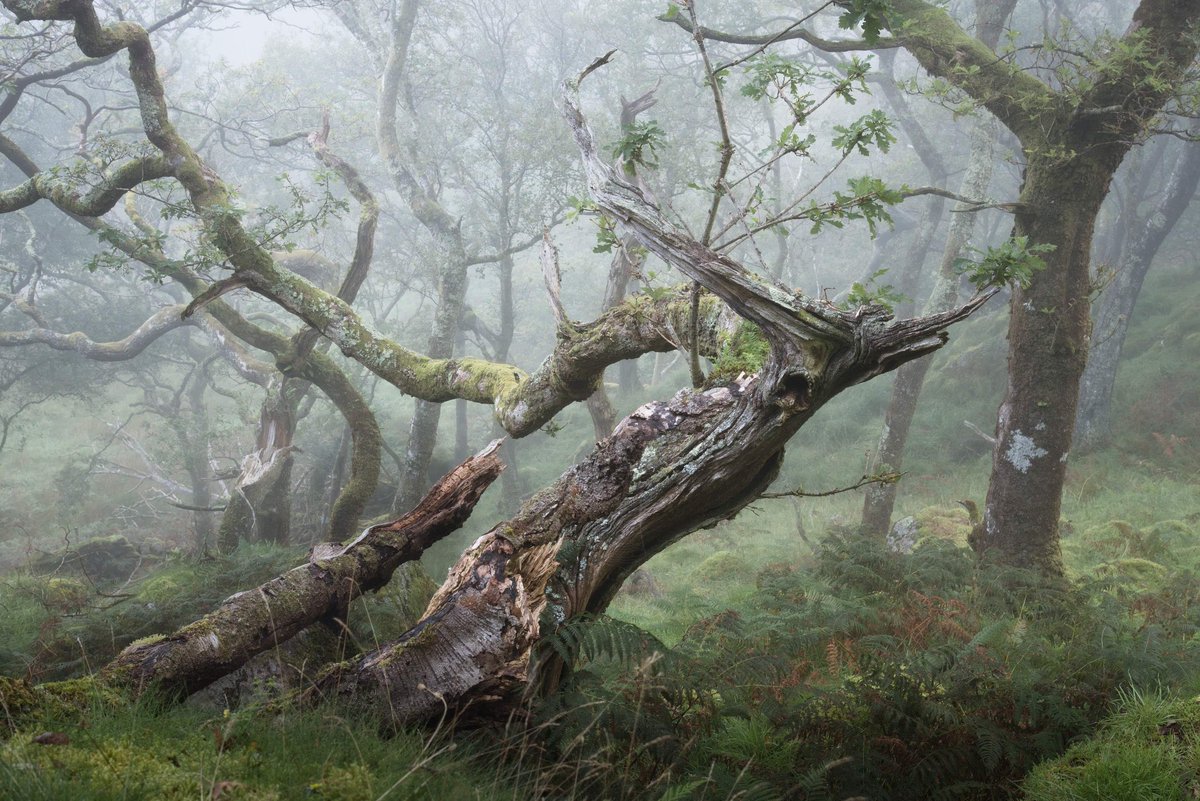 Marc Robbins Photography tweet media