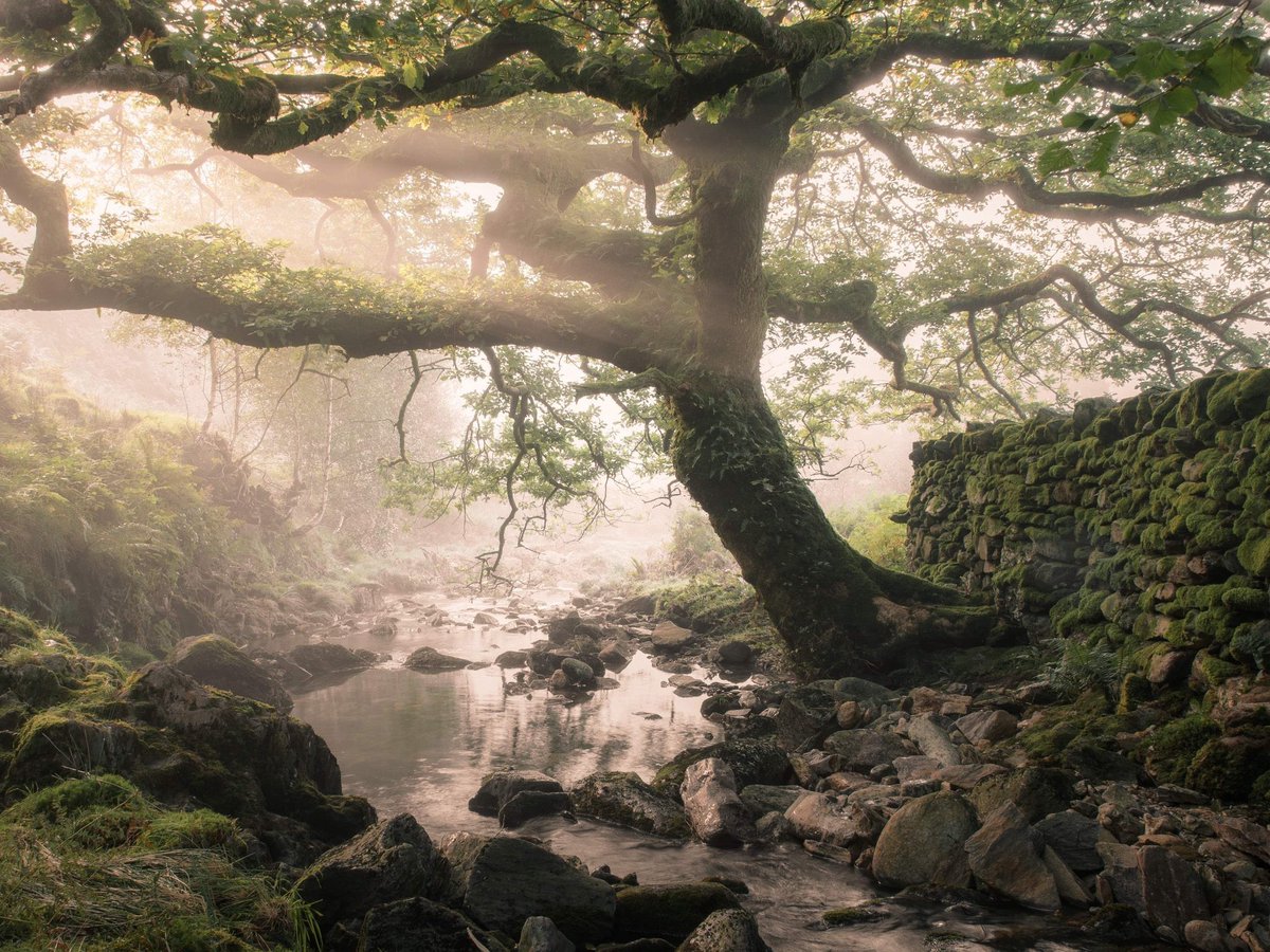Marc Robbins Photography tweet media