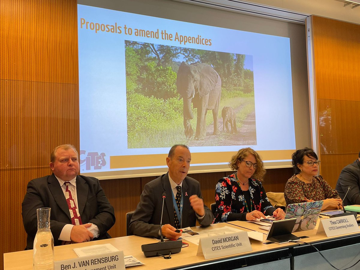 GENetwork's tweet photo. @CITES @ivonnehiguero @Ben_J_v_R @SofieHF David Morgan of the Scientific Unit, highlights that every CoP is an opportunity to make a proposal on adjusting the level of protection for certain species, through the amendments to the @CITES Appendices.

#CITESCoP19 is one such opportunity. https://t.co/lXiYuLMpmB