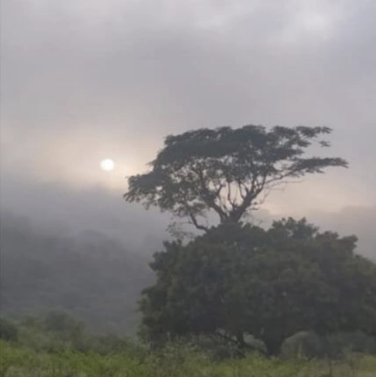 If you look around, our natural world is drop dead gorgeous.

The Tamarind Valley Collective. Day trips and comfortable overnight camping. Home, birding, regenerative farming and great food!

stay@linger.in