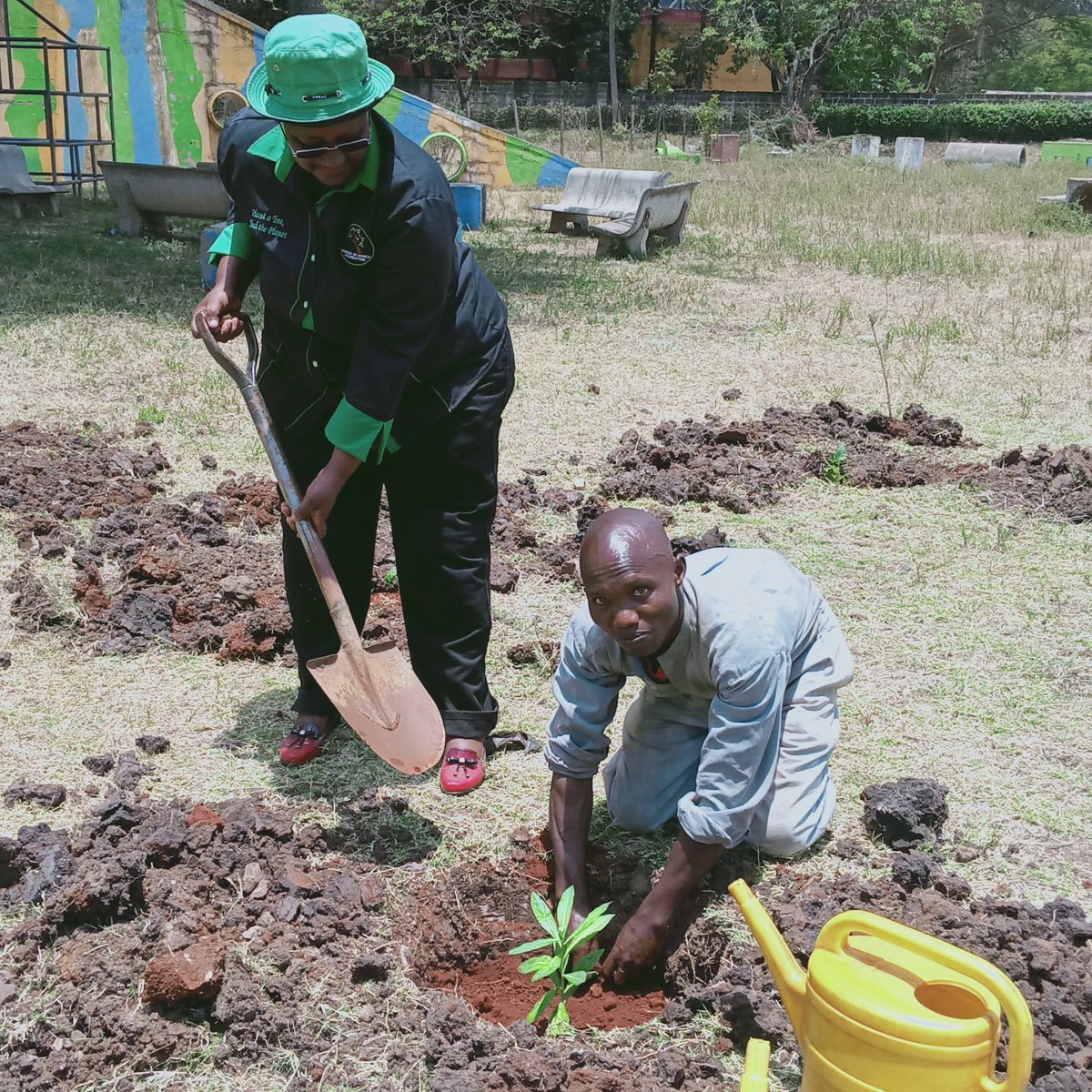 WanyekiJedidah's tweet photo. Planting a tree is the greatest honour you can bequeath the earth that continuously supports you even when you are so arrogant to it.
#restoretheplanet
#Mamamazingira https://t.co/EO0SCa5RkM