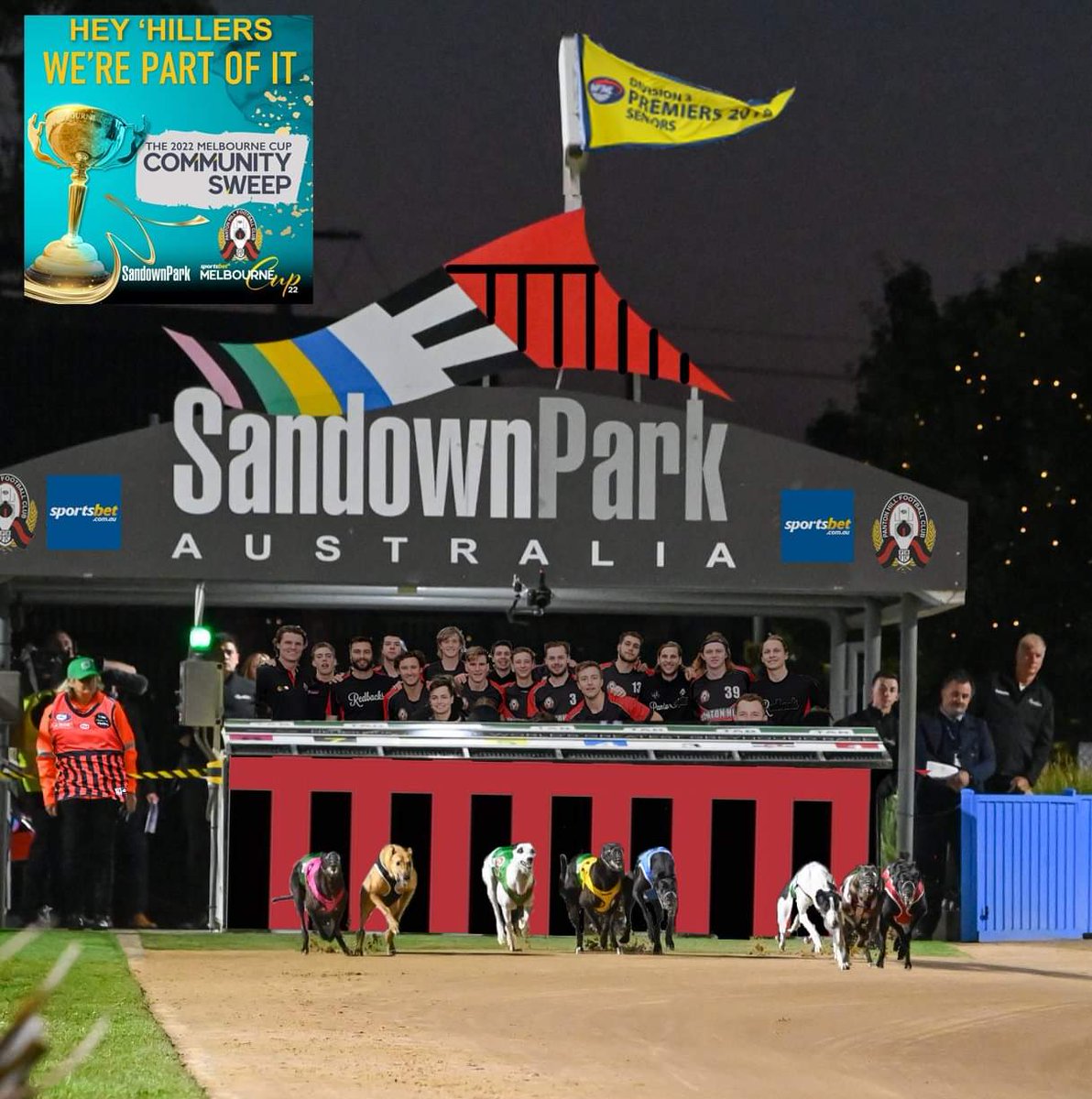🏆Looks like <a href="/sandowndogs/">Sandown Greyhounds</a> are preparing for a Redbacks invasion for the Nov. 26 Melbourne Cup. Set the date aside to watch our doggy glide!