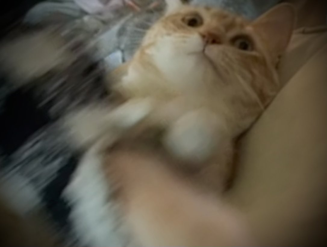 JortsTheCat's tweet image. QUICK: before you have a hot take, ask yourself if you’re accidentally playing into the plan of jerks who want us to fight amongst ourselves for the scraps