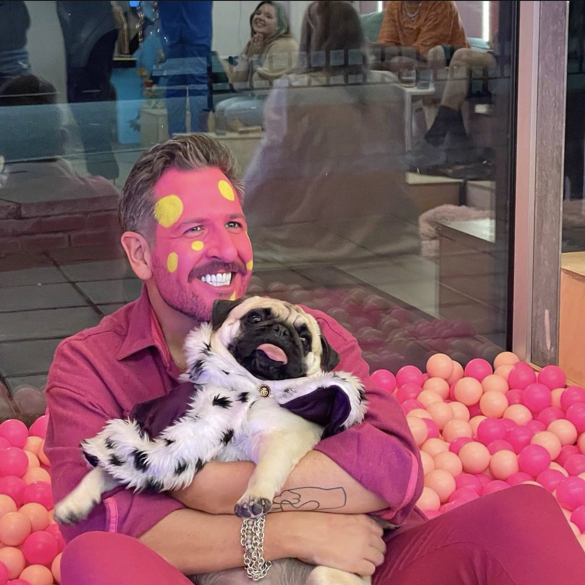 Have you seen Hercules when visiting CuppaPug? He had his 3rd birthday on Friday 🥰