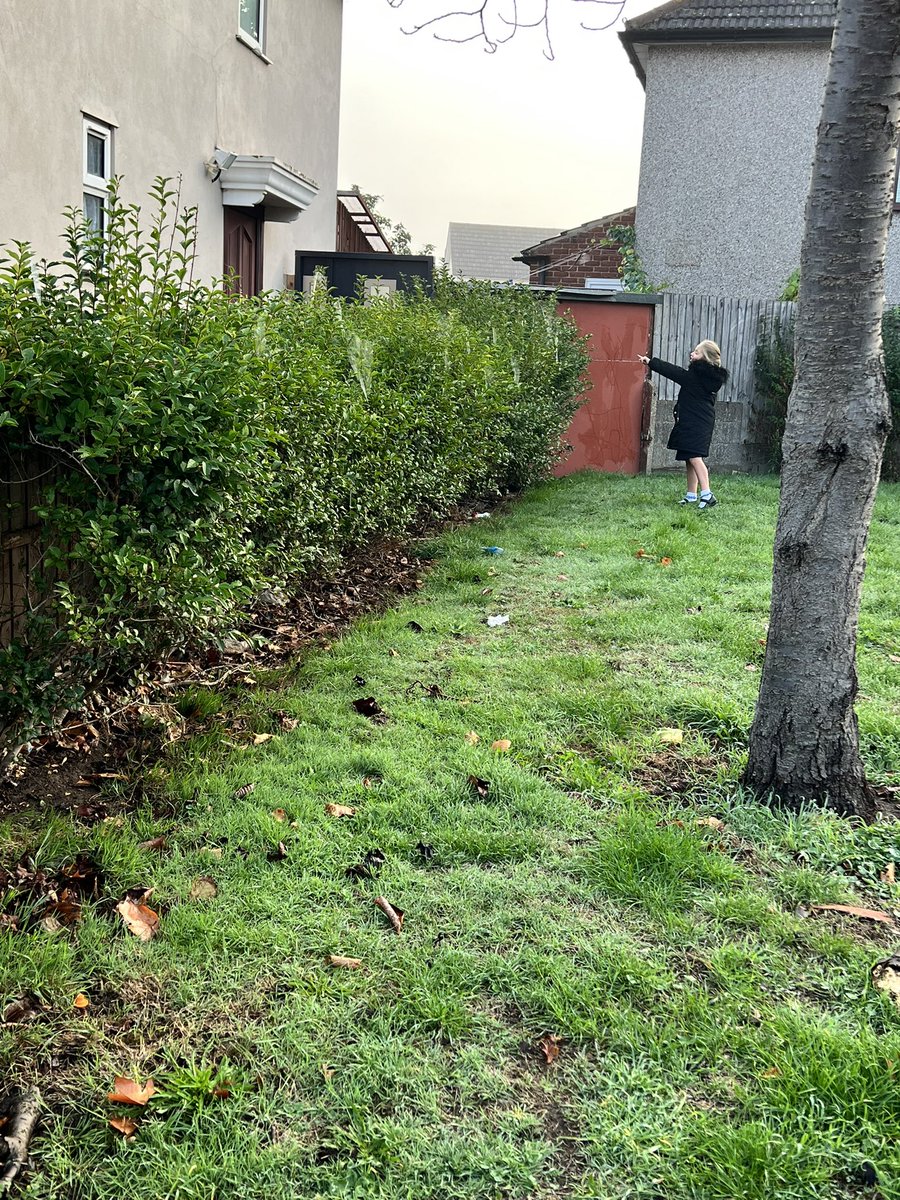 FrancescaKerr18's tweet photo. This morning we went on a spider web hunt. The fog helped us to find loads 🕷 🕸 @GoresbrookSc @MrWalkerLPA https://t.co/lLcoODc4Fu