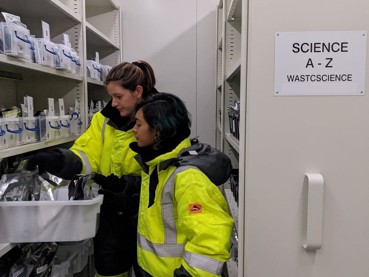 Kings Park tweet media