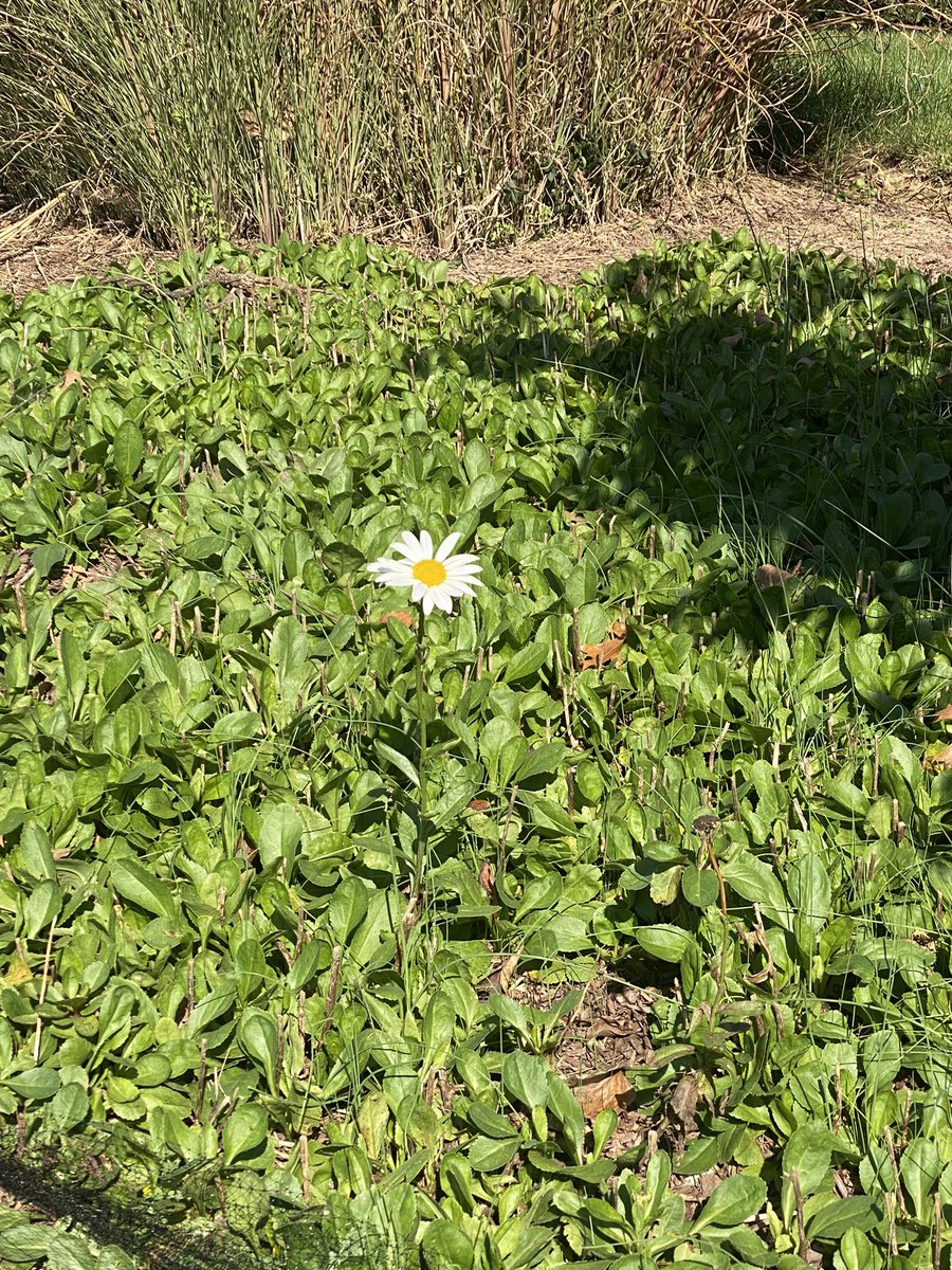 #deepcleansingbreath