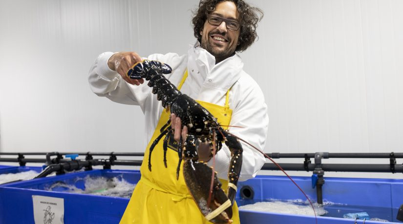 🐟 Version marine des AMAP, Poiscaille propose partout en France des casiers de poissons sur abonnement. Une manière de lutter contre la précarité du métier de pêcheur et, au bout de la ligne, contre la surpêche. À lire ➡ cutt.ly/bBLUbtQ