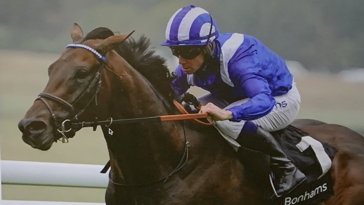 Baaeed was a great racehorse but he is also a thing of beauty.  I’ll be using him for sure - I hope he’s not too expensive.