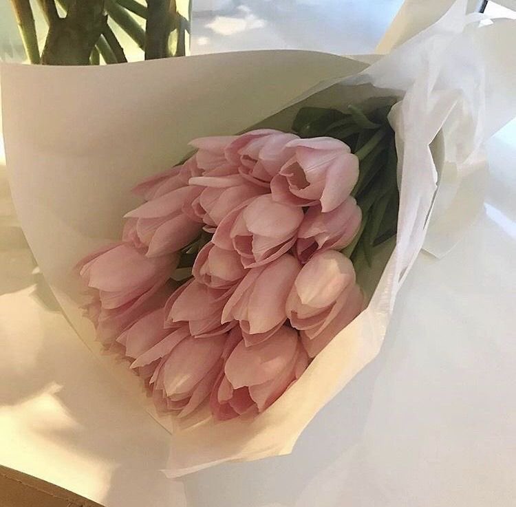 tulips