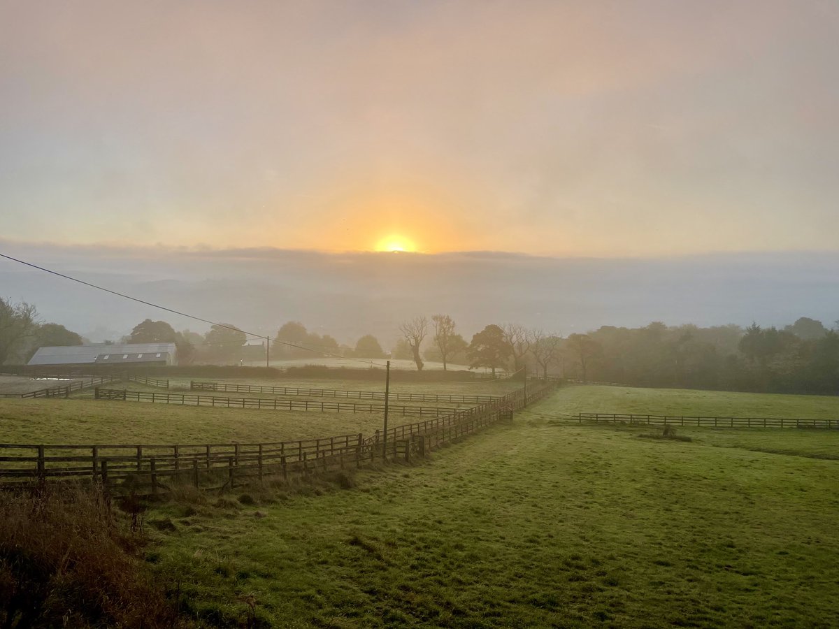 Alexandre Boyes tweet media