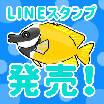 魚の体にできる できものは何 イボ 皮膚炎など症状別に解説します トロピカ