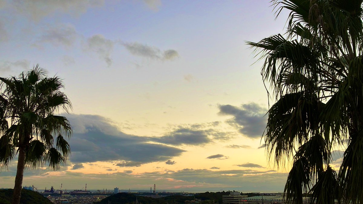 お疲れ様です。
南国感のある夕景を(∩´｡•ω•)⊃ﾄﾞｿﾞｰ

すっかり日が短くなりました。
17:30でもう薄暗い。
そして寒い:( ´◦ω◦｀):
みんな風邪ひかないでね！
 #企業公式がお疲れさまを言い合う