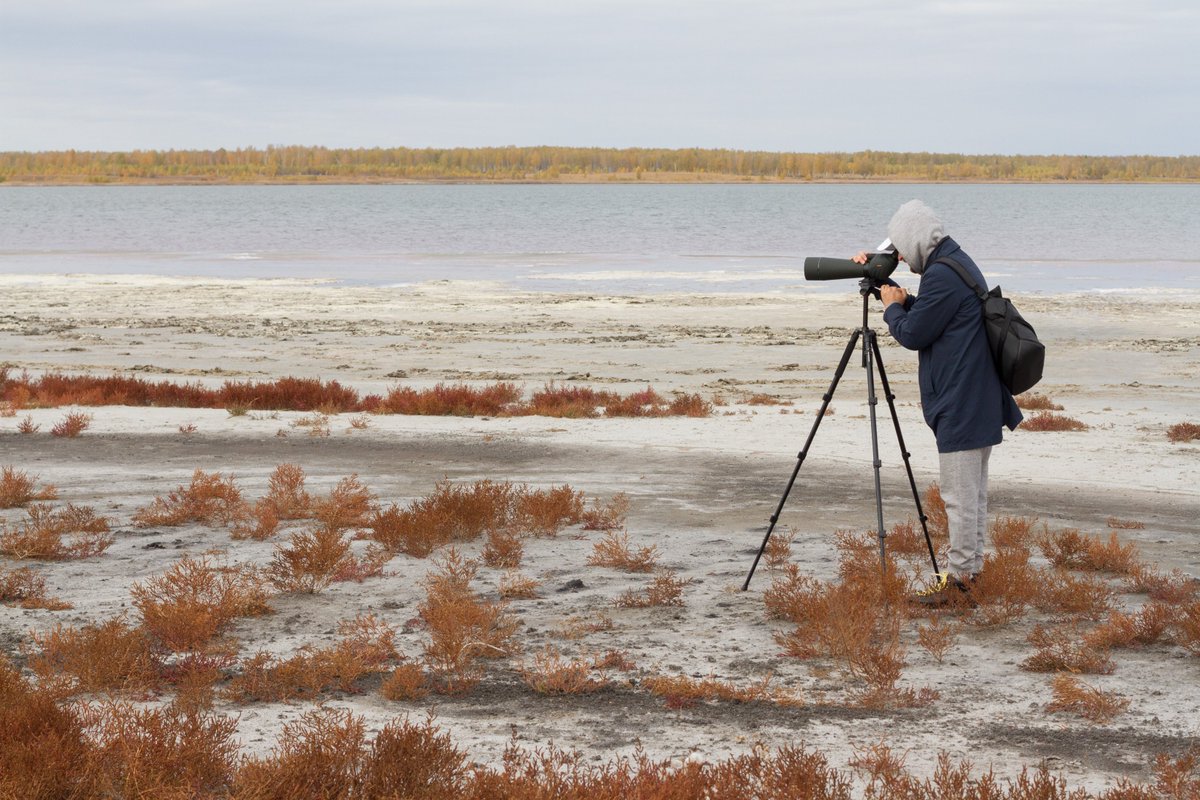 SVBONY_ALI's tweet photo. If you love getting out in nature to view wildlife and far-off sights, you might be interested in SV411.
#bird #birds #nature #wildlife #svbony #svbonyaliexpress #sv411 #binoculars #wildlifephotography #birdwatching #birding #birdphotography https://t.co/98qwjix1eN