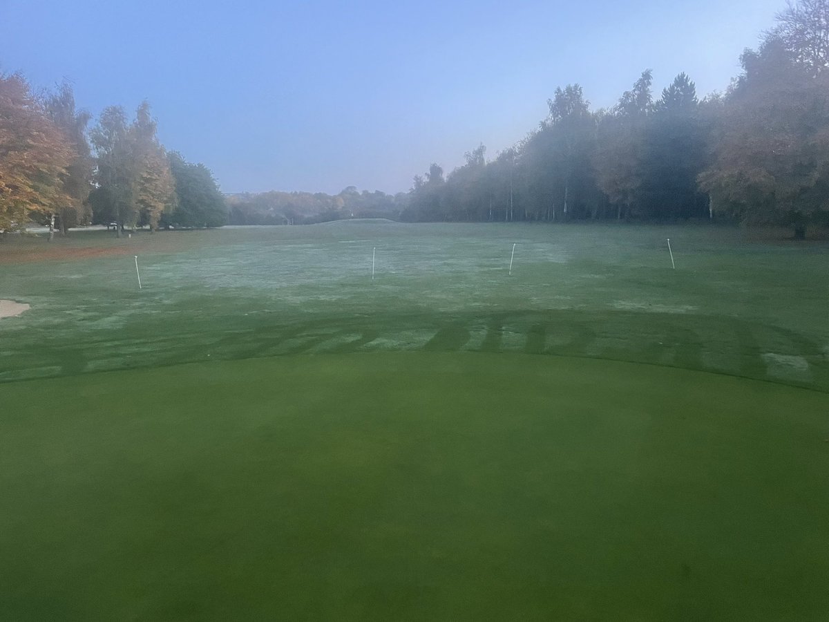 Diss Greens tweet media