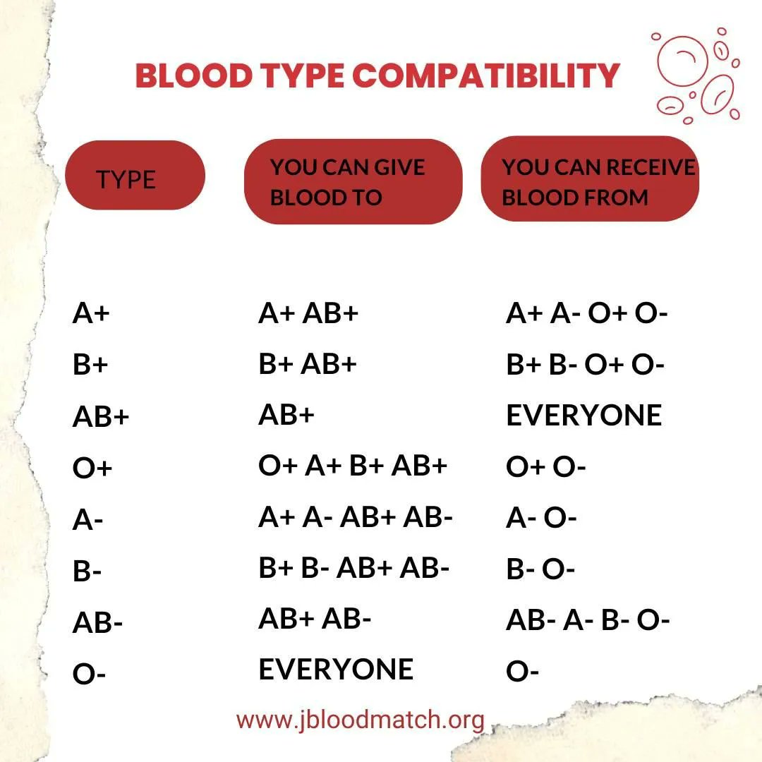 jdinitiatives's tweet image. Voluntary blood donors are the cornerstone of safe and adequate supply of blood and blood products. 
 
So, take a look below 👇to know who you can voluntarily donate blood to and receive from.

#bloodislife 
#blooddonation 
#jbloodmatch