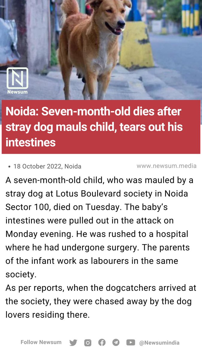 Newsum on Twitter "Noida Sevenmonthold dies after stray dog mauls