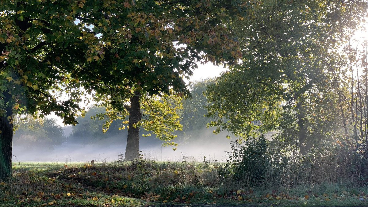 A reminder of how wonderful it is to have #WansteadFlats on my doorstep. Lovely moment to start off our school walk. Ninja Dancer thought it looked like a “fairy forest”! 🧚‍♀️🌳 #ForestGate