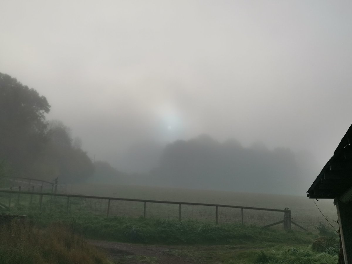 The sun is desperately trying to break through the mist....